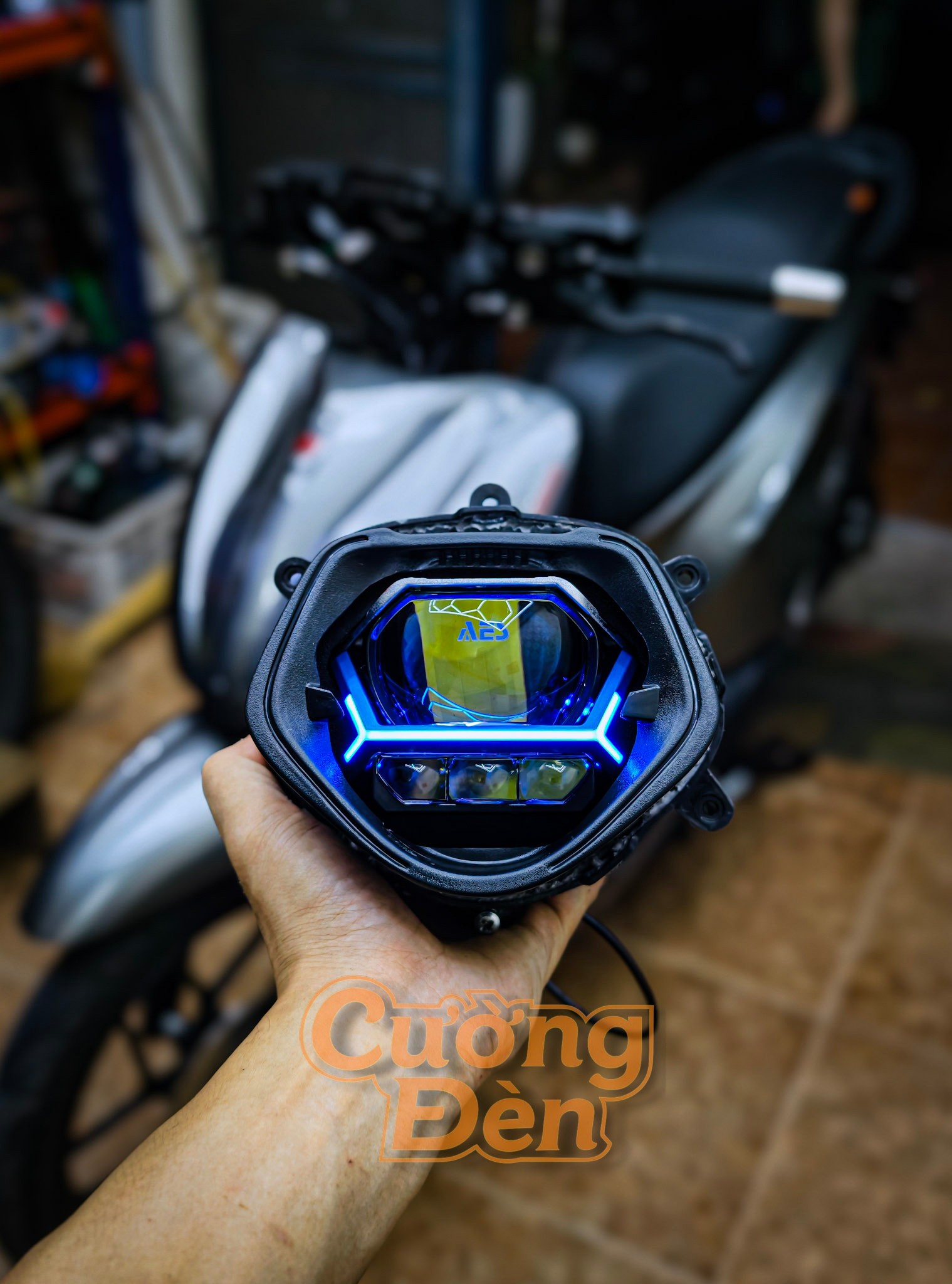 Dat Bike Quantum S1 độ bi cầu AES Turbo BM – Daylight chữ X nổi bật